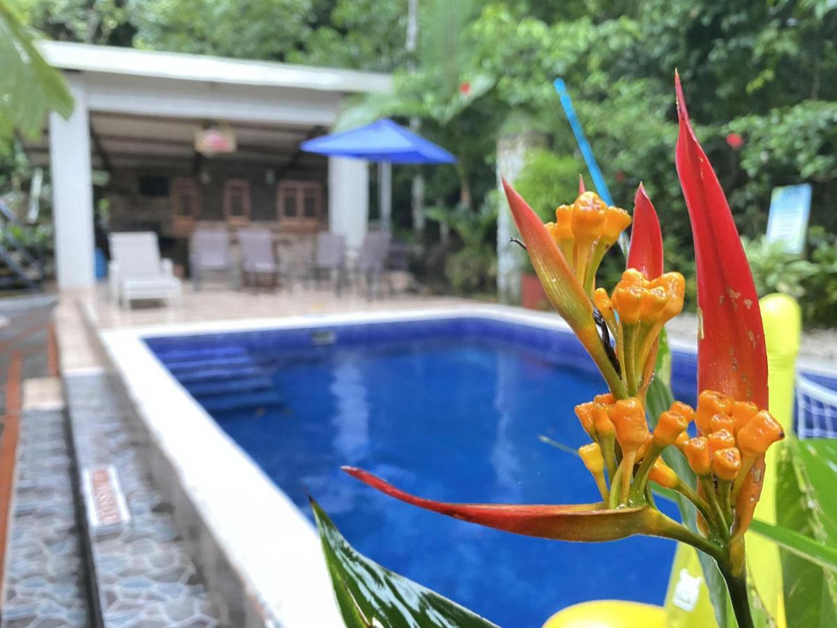 La Posada Jungle Hotel マヌエル・アントニオ エクステリア 写真