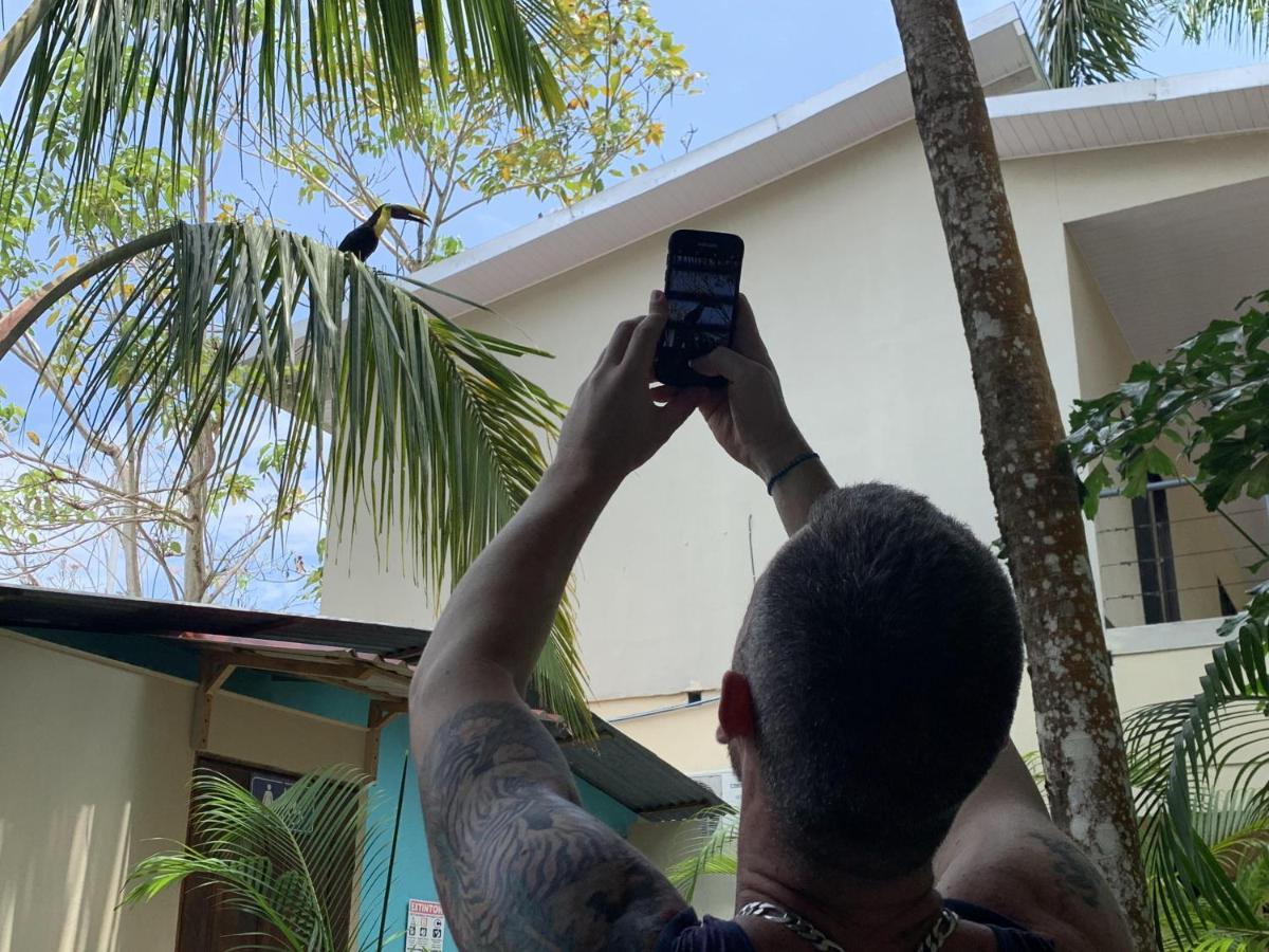 La Posada Jungle Hotel マヌエル・アントニオ エクステリア 写真