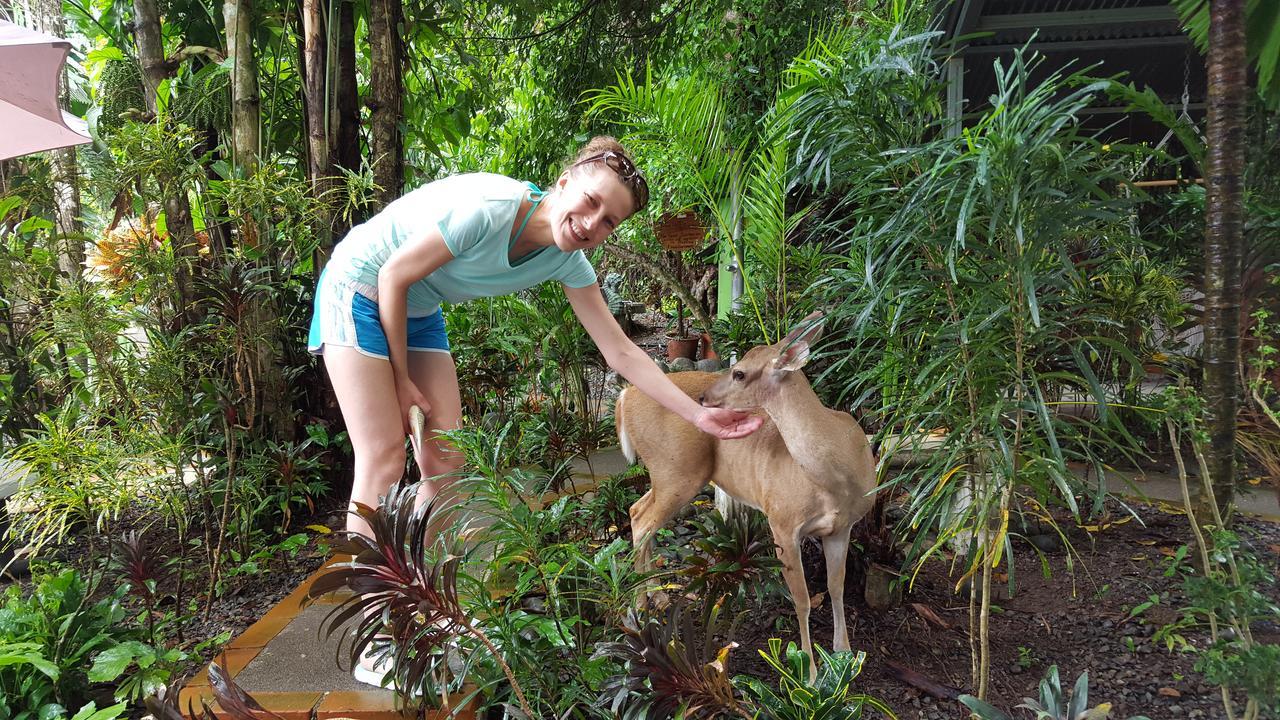 La Posada Jungle Hotel マヌエル・アントニオ エクステリア 写真
