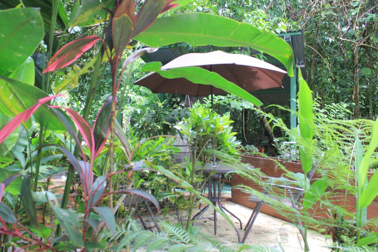 La Posada Jungle Hotel マヌエル・アントニオ エクステリア 写真