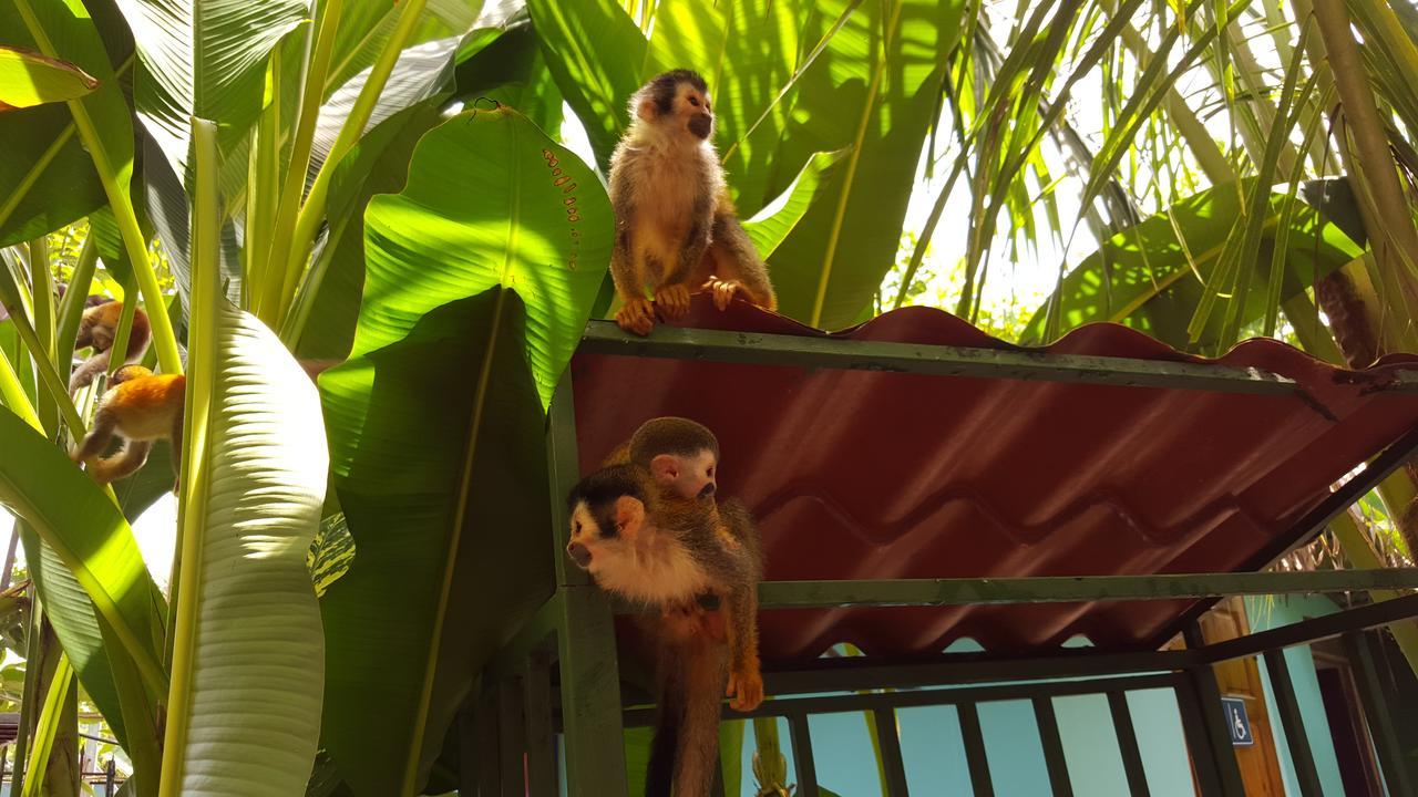 La Posada Jungle Hotel マヌエル・アントニオ エクステリア 写真